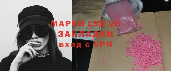 индика Новодвинск