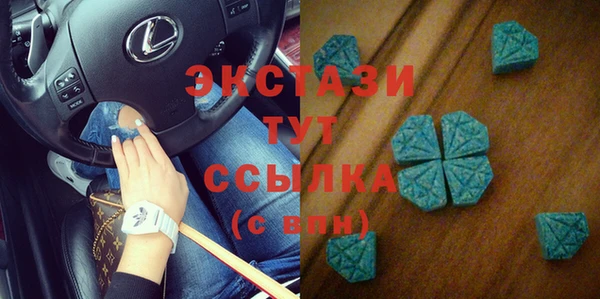 индика Новодвинск