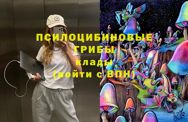 крисы Абинск
