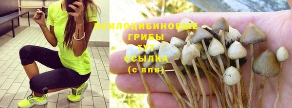 ALPHA PVP Алексеевка