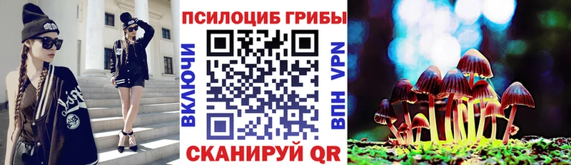 ссылка на мегу сайт  Электрогорск  Псилоцибиновые грибы мухоморы 