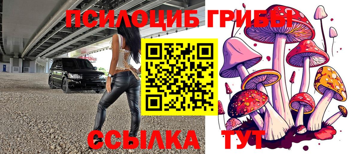 Галлюциногенные грибы Psilocybine cubensis  Вход с VPN  Электрогорск 