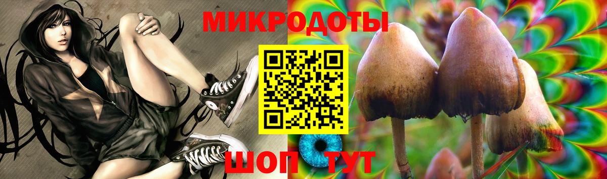 Псилоцибиновые грибы мухоморы Электрогорск