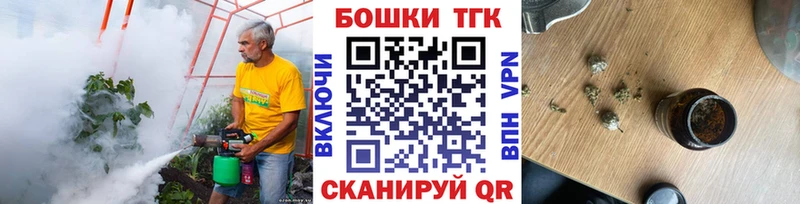 купить  сайты  Электрогорск  блэк спрут вход  Шишки марихуана индика 